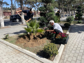 Xəzər rayonunda 2024-cü ilin "Yaşıl dünya naminə həmrəylik ili" elan edilməsi ilə əlaqədar olaraq yeni yaşıllıq zolaqlarının salınması və ətraf mühitin mühafizəsi istiqamətində işlər davam etdirilir