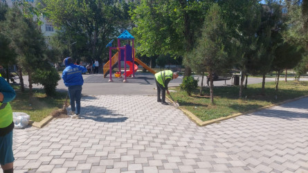 Xəzər rayonunda növbəti genişmiqyaslı ümumrayon iməcliyi keçirilib