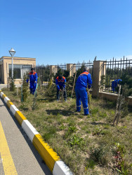 Xəzər rayonunda növbəti ümumrayon iməcliyi keçirilib