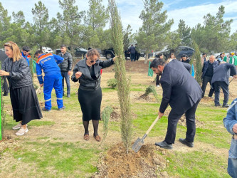 Xəzər rayonunda növbəti ağacəkmə aksiyası keçirilib