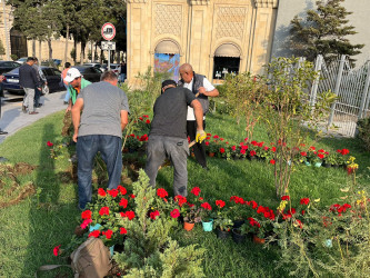 Xəzər rayonunda 2024-cü ilin "Yaşıl dünya naminə həmrəylik ili" elan edilməsi ilə əlaqədar olaraq yeni yaşıllıq zolaqlarının salınması və ətraf mühitin mühafizəsi istiqamətində işlər davam etdirilir