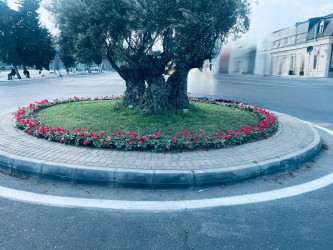 Xəzər rayonunda abadlıq-quruculuq və təmizlik işləri davam etdirilir