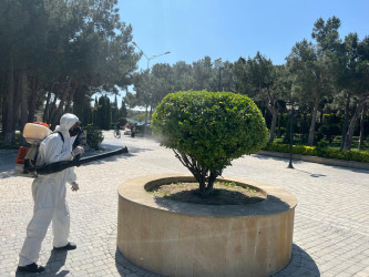 Xəzər rayonunda növbəti genişmiqyaslı təmizlik və abadlıq işləri həyata keçirilib