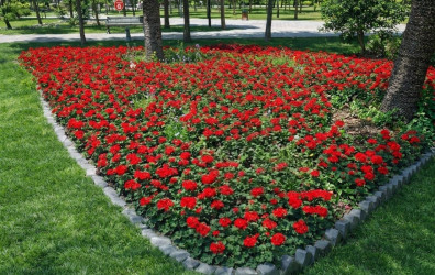 Xəzər rayonunun yaşıl guşələri