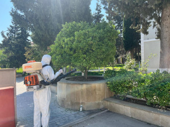 Xəzər rayonunda növbəti genişmiqyaslı təmizlik və abadlıq işləri həyata keçirilib