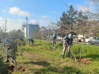 Xəzər rayonunda növbəti ümumrayon iməcliyi keçirilib