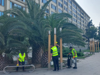 Xəzər rayonunda növbəti iməclik keçirilmişdir