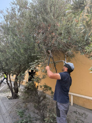 Xəzər rayonunda abadlıq-quruculuq və təmizlik işləri davam etdirilir