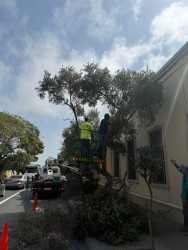 Xəzər rayonunda abadlıq-quruculuq və təmizlik işləri davam etdirilir