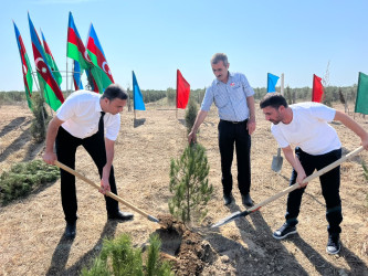 Xəzər rayonunda 27 sentyabr- Anım gününə həsr olunmuş ağacəkmə aksiyası keçirilib