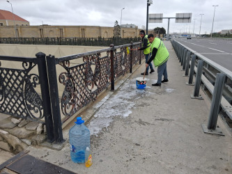 Xəzər rayonunda növbəti ümumrayon iməcliyi keçirilib