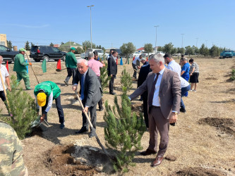 Xəzər rayonunda 27 sentyabr- Anım gününə həsr olunmuş ağacəkmə aksiyası keçirilib