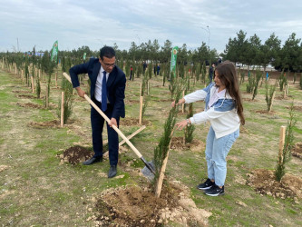 Xəzər rayonunda növbəti ağacəkmə aksiyası keçirilib