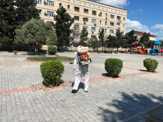 Xəzər rayonunda növbəti genişmiqyaslı təmizlik və abadlıq işləri həyata keçirilib