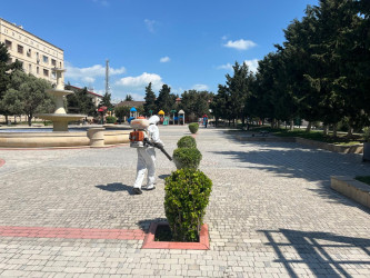 Xəzər rayonunda növbəti genişmiqyaslı təmizlik və abadlıq işləri həyata keçirilib