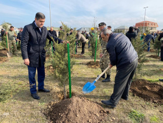 2024-2025-ci il tədbirlər