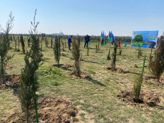 2026-cı il tədbirlər