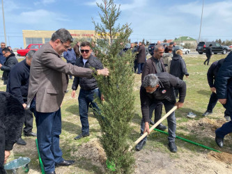 2024-2025-ci il tədbirlər