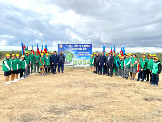 2024-2025-ci il tədbirlər