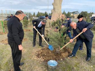 2024-2025-ci il tədbirlər