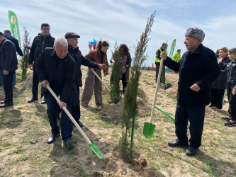 2024-2025-ci il tədbirlər