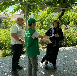 2024-2025-ci il tədbirlər