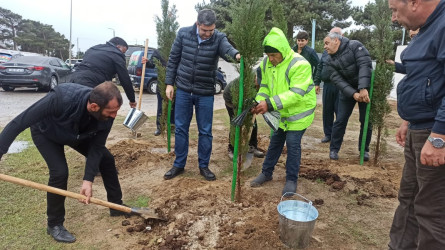 2022-ci il tədbirlər