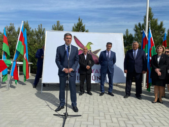 2024-2025-ci il tədbirlər