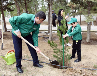 2024-2025-ci il tədbirlər