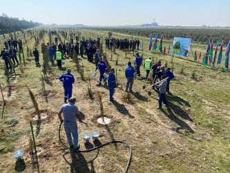 2026-cı il tədbirlər