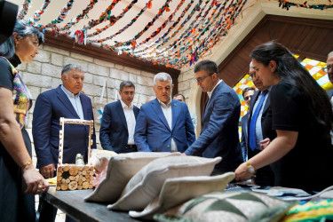 2024-2025-ci il tədbirlər