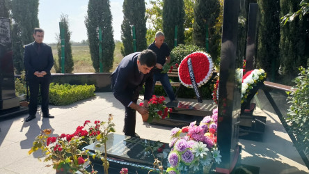 2024-2025-ci il tədbirlər