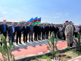 2024-2025-ci il tədbirlər