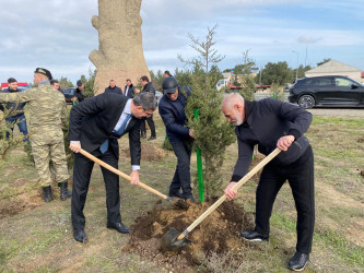 2024-2025-ci il tədbirlər