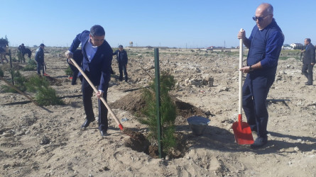 2023-cü il tədbirlər