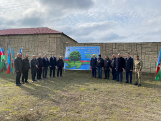 2024-2025-ci il tədbirlər