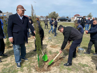 2024-2025-ci il tədbirlər