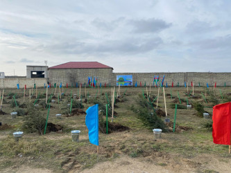 2024-2025-ci il tədbirlər