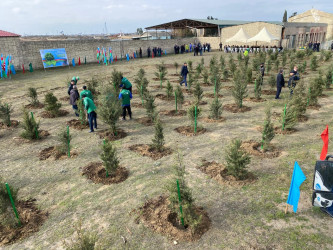 2024-2025-ci il tədbirlər