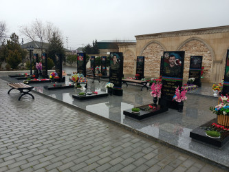 2024-2025-ci il tədbirlər