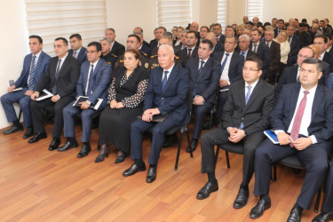 2024-2025-ci il tədbirlər