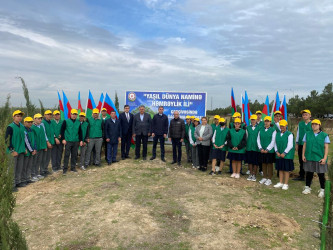 2024-2025-ci il tədbirlər