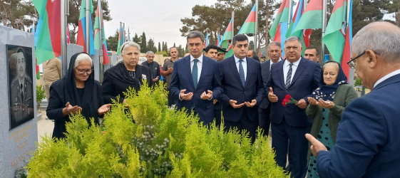 2024-2025-ci il tədbirlər