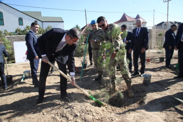 2022-ci il tədbirlər