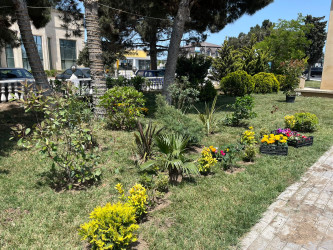 2024-2025-ci il tədbirlər