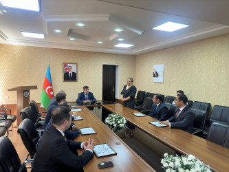 2024-2025-ci il tədbirlər