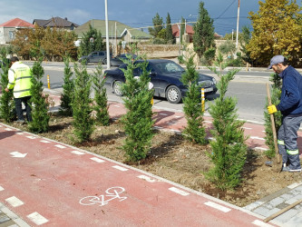 2024-2025-ci il tədbirlər