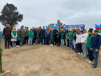 2024-2025-ci il tədbirlər