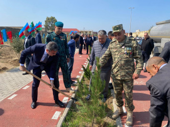 2024-2025-ci il tədbirlər