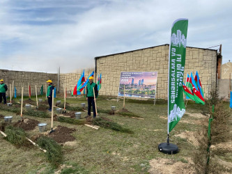 2026-cı il tədbirlər